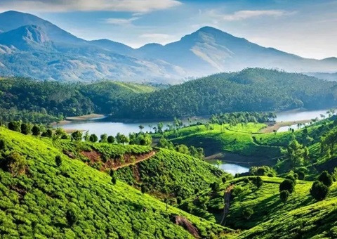 陕西在全国率先成立省级天然资源领域生态；ぷ菹蜃酆吓獬セ