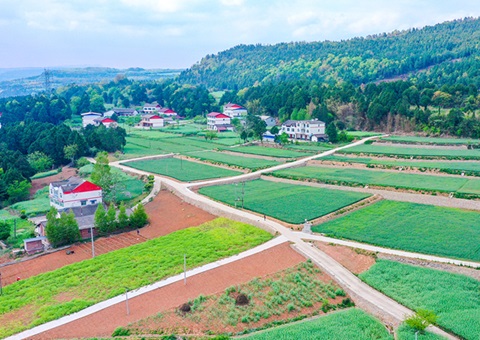 广元市奉杏装卫星田长”科技助力精准；じ