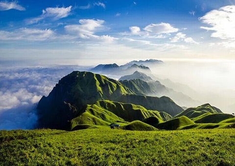 江西安福坳上林场走出“两山”转化多元蹊径