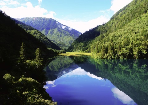 预计2025年底，四川省“林粮”产量1500万吨、产值1800亿元