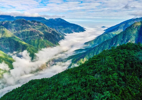 “组合包”，通顺生态产品价值转化