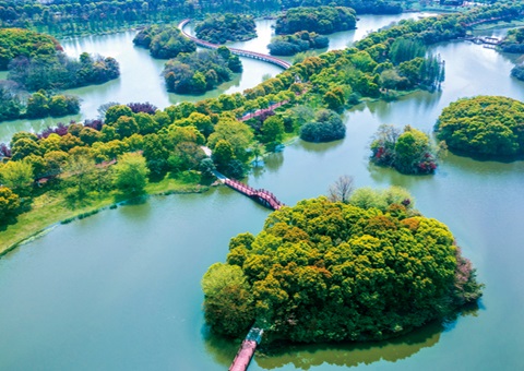 江西省湿地；ぢ室汛61.99%