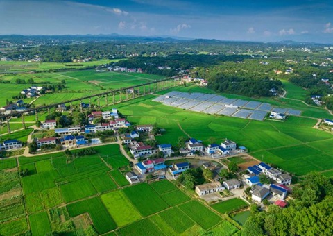 湖南：靶向发力盘活存量地皮资产<br>为206家机关企事业单元定造措置规划，盘活地皮2.6万亩