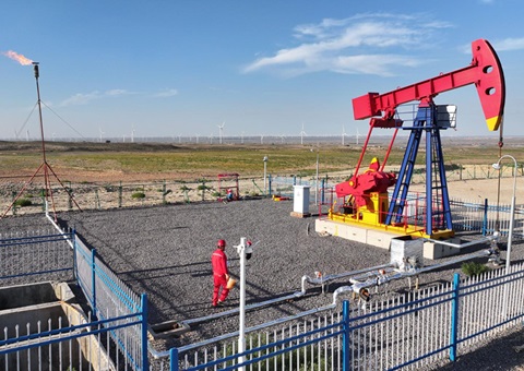 宁夏纵深推动新一轮找矿突破战术行动，执行一批煤层气、页岩气、煤炭等勘查项目