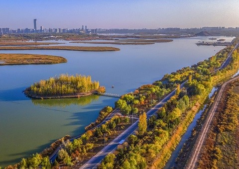 宁夏初次颁布全域生态资源本底调查汇报