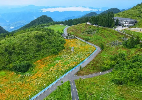 沉庆云阳：全国首例，获批1.8亿！