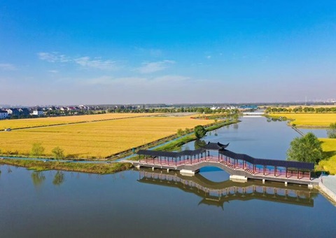 粮田变良田&nbsp;&nbsp;江苏建成高尺度农田面积4401万亩