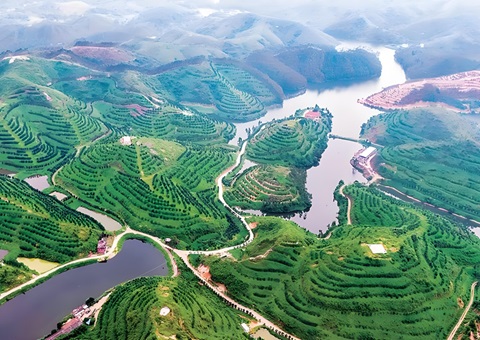 广东林业特色产业发展奖补项目执行持续推动