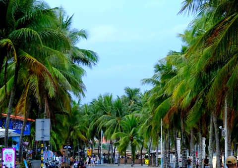 建“清冷城视妆，海南有何“凉方”?