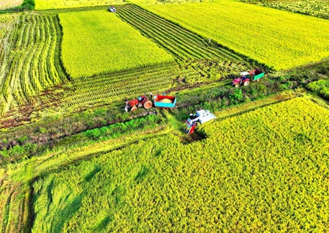 湖北推动高尺度农田建设及第二轮地皮承包到期再耽搁试点工作