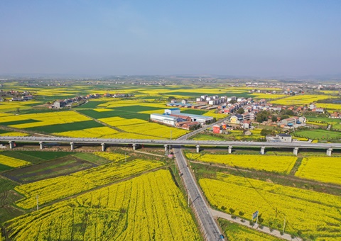 湖北荆门构建“四维联动”模式   打造全域河山综合整治示范样板