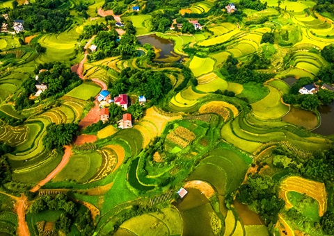 @农夫伴侣 2025年沉庆市耕地地力；げ怪婊戳