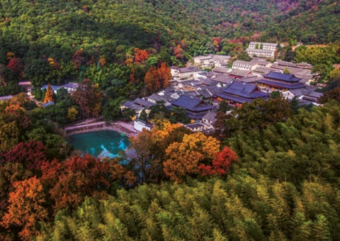 浙江：丛林公园生态游览若何高质量发展？