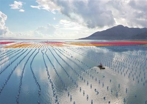 广东调整现代化海洋牧场项目海域使用金减免政策合用领域    获批项目免缴前5年海域使用金